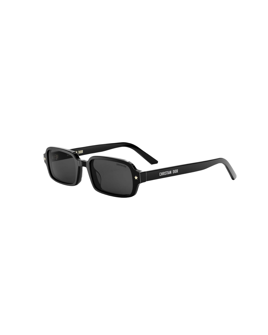 Dior Pacific S3I Rectangular Sunglasses