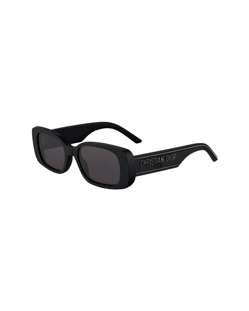Christian Dior WILDIOR S2U Sunglasses