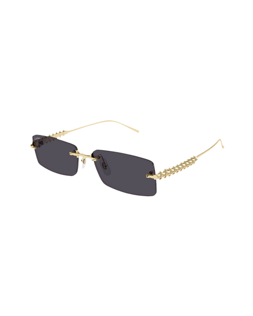Cartier CT0545S Sunglasses