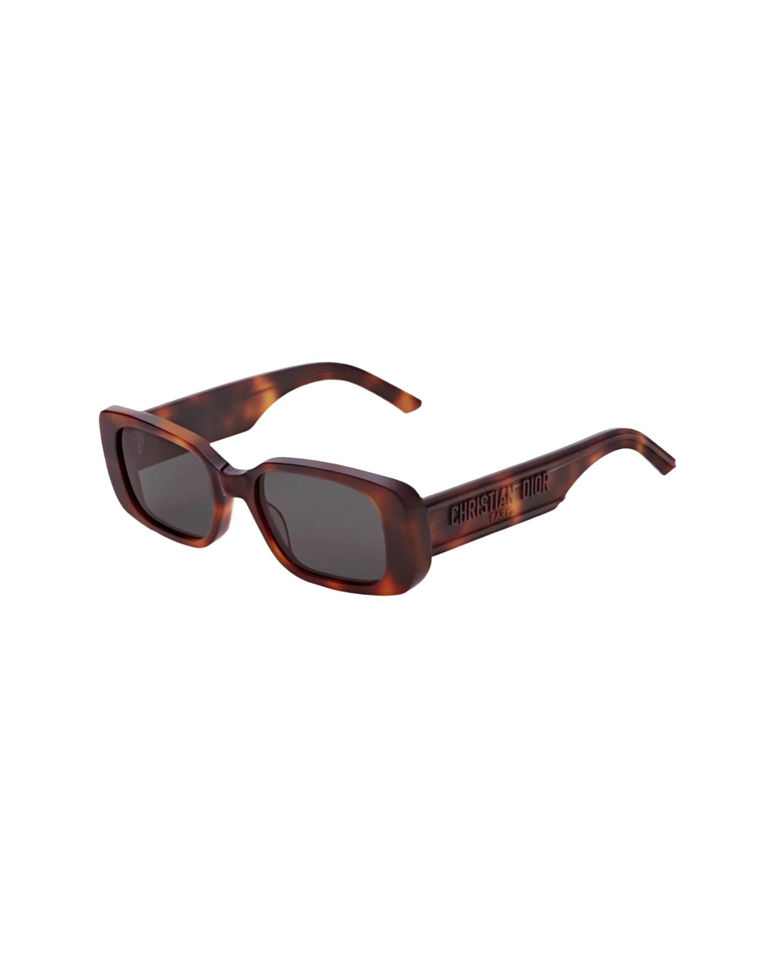 Christian Dior WILDIOR S2U Sunglasses
