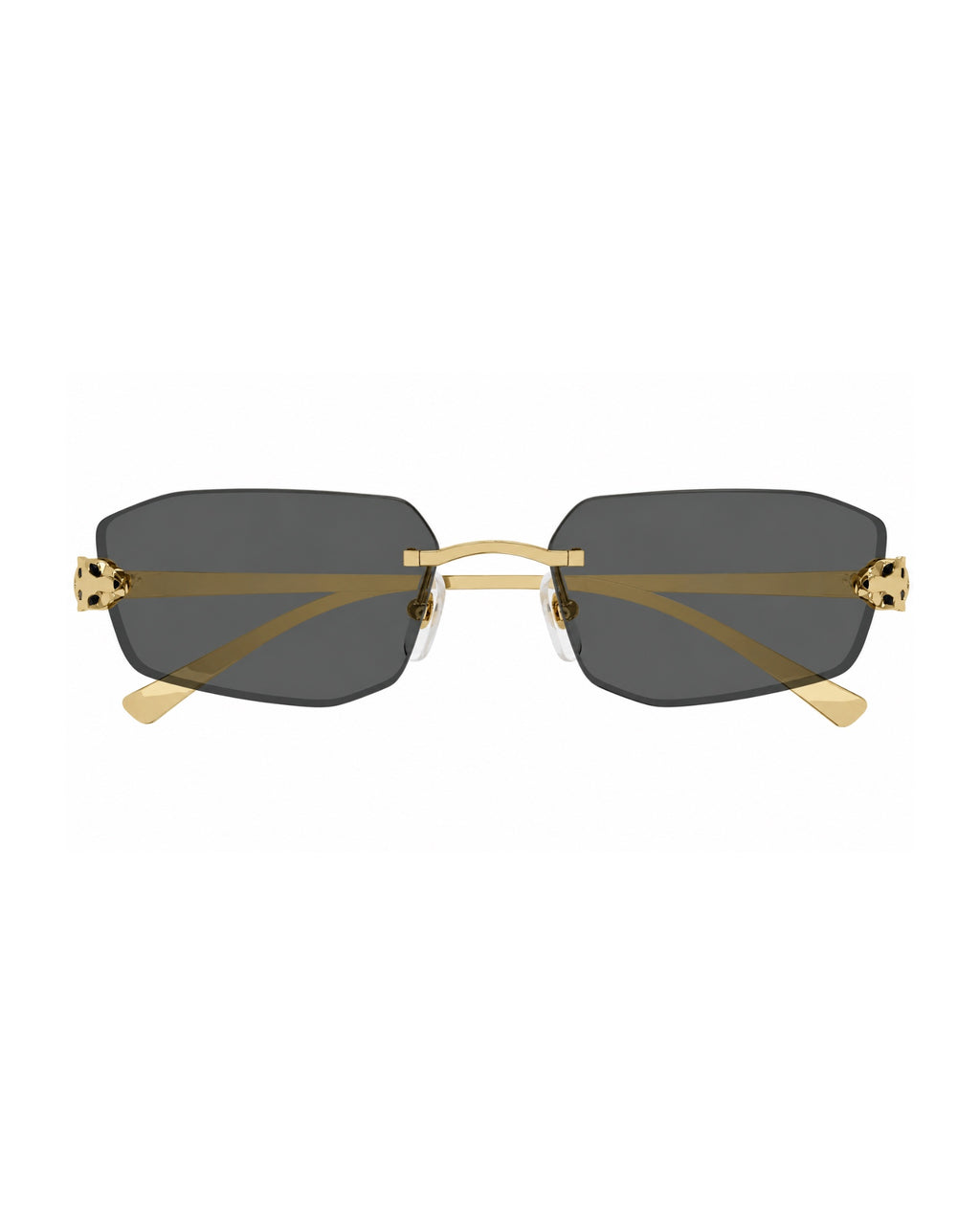 Cartier CT0474S Sunglasses
