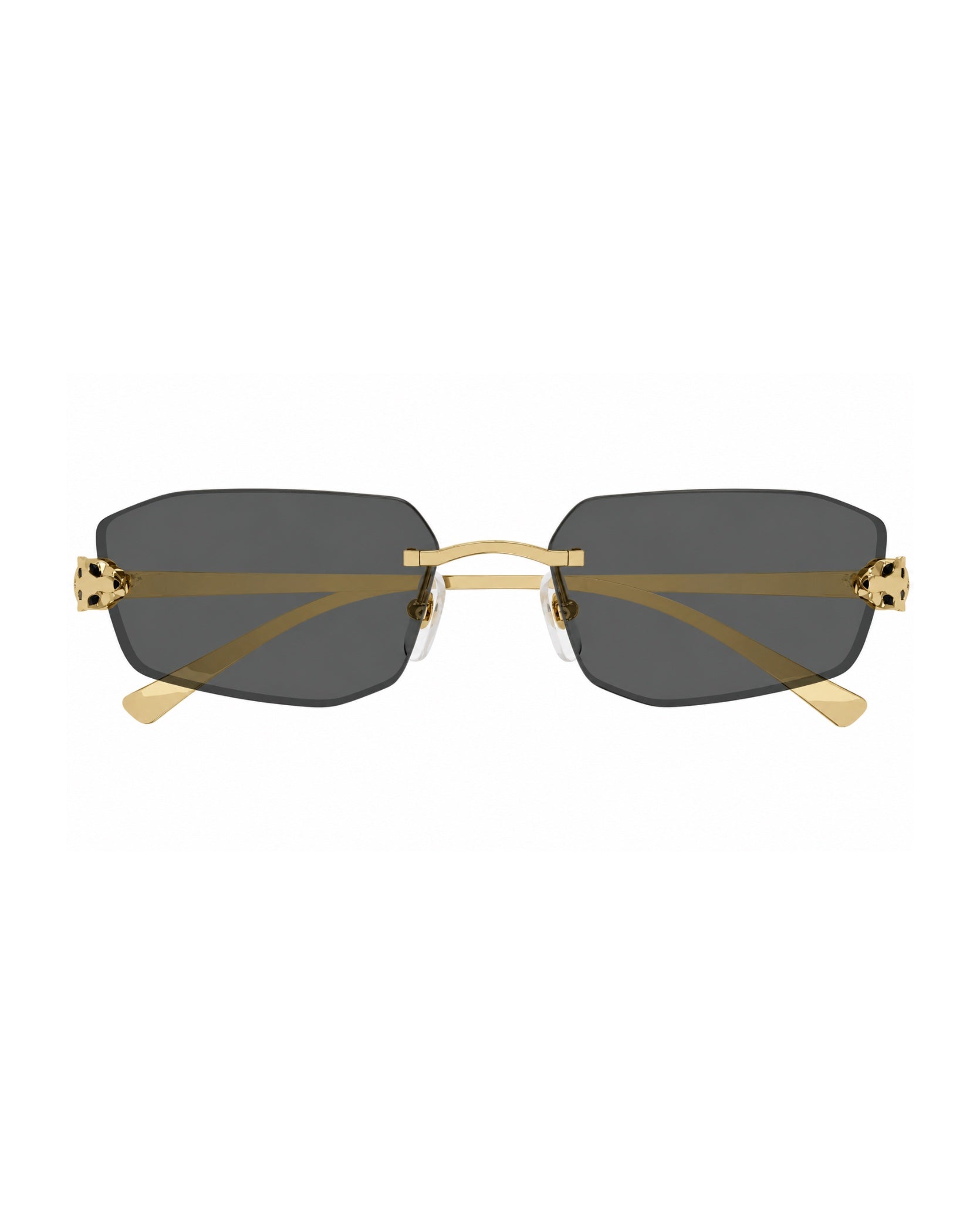 Cartier CT0474S Sunglasses