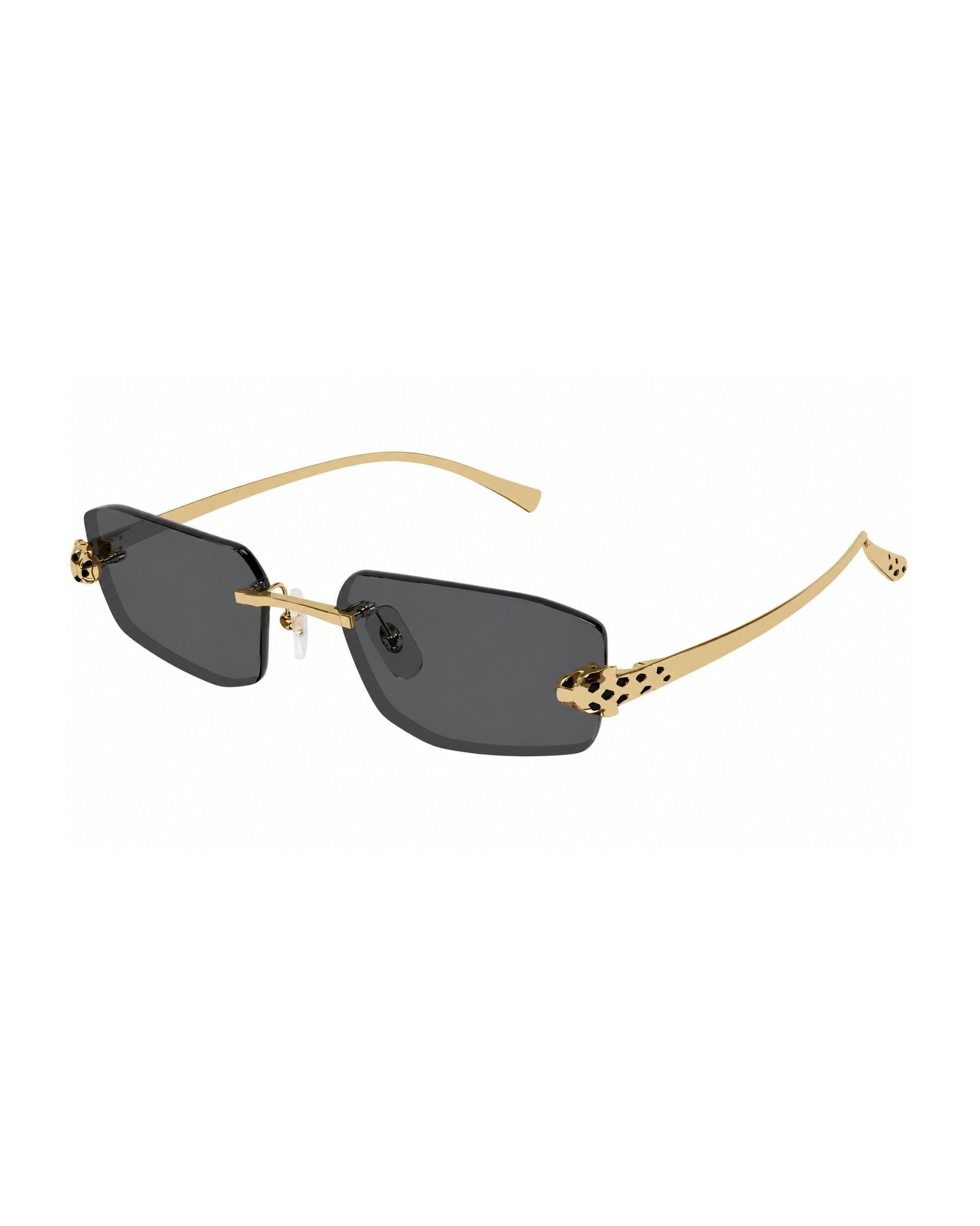 Cartier CT0474S Sunglasses