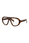 Tiger x transparent