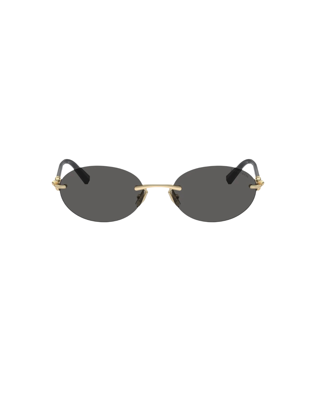 Tiffany&Co Oval Frame Sunglasses